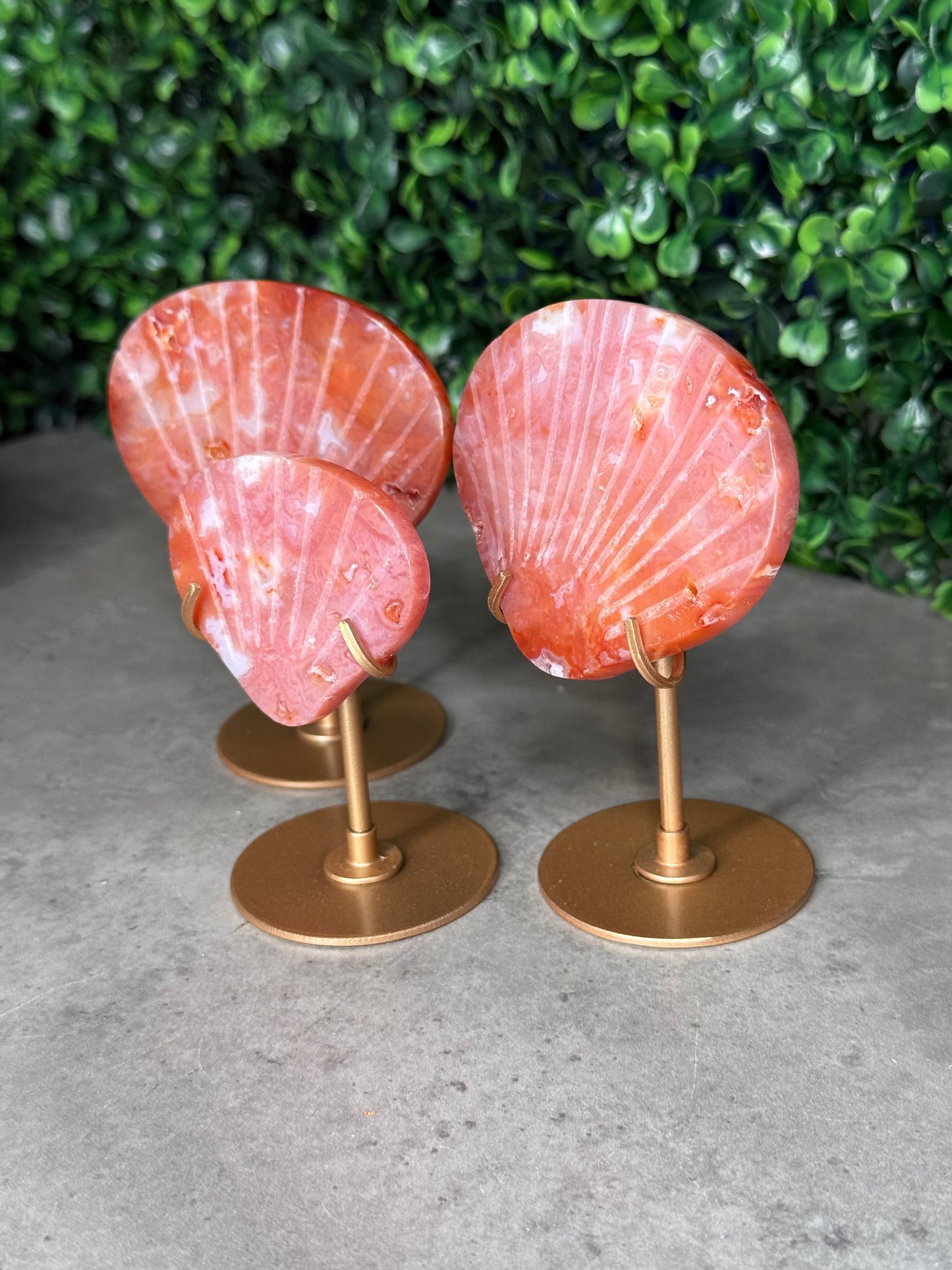 Pink Carnelian Shell Carving with Stand - Indonesian