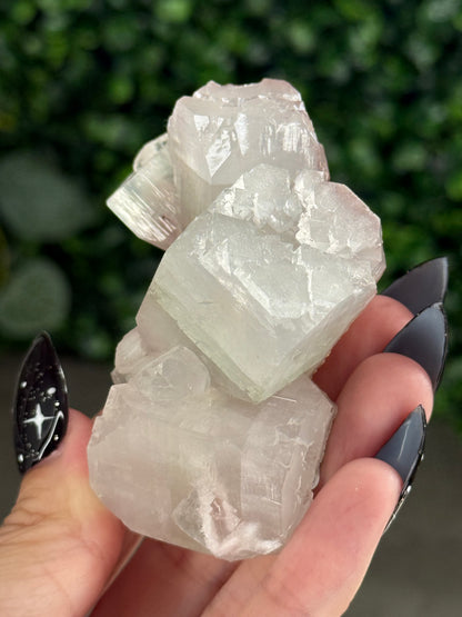 Pink & Green Apophyllite Specimens - U