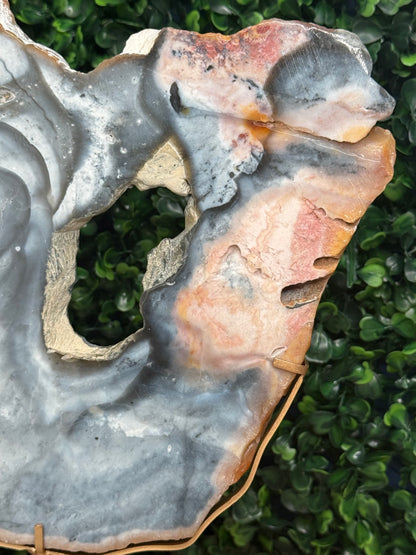 XL Pink & Blue Petrified Wood Slab With Custom Stand