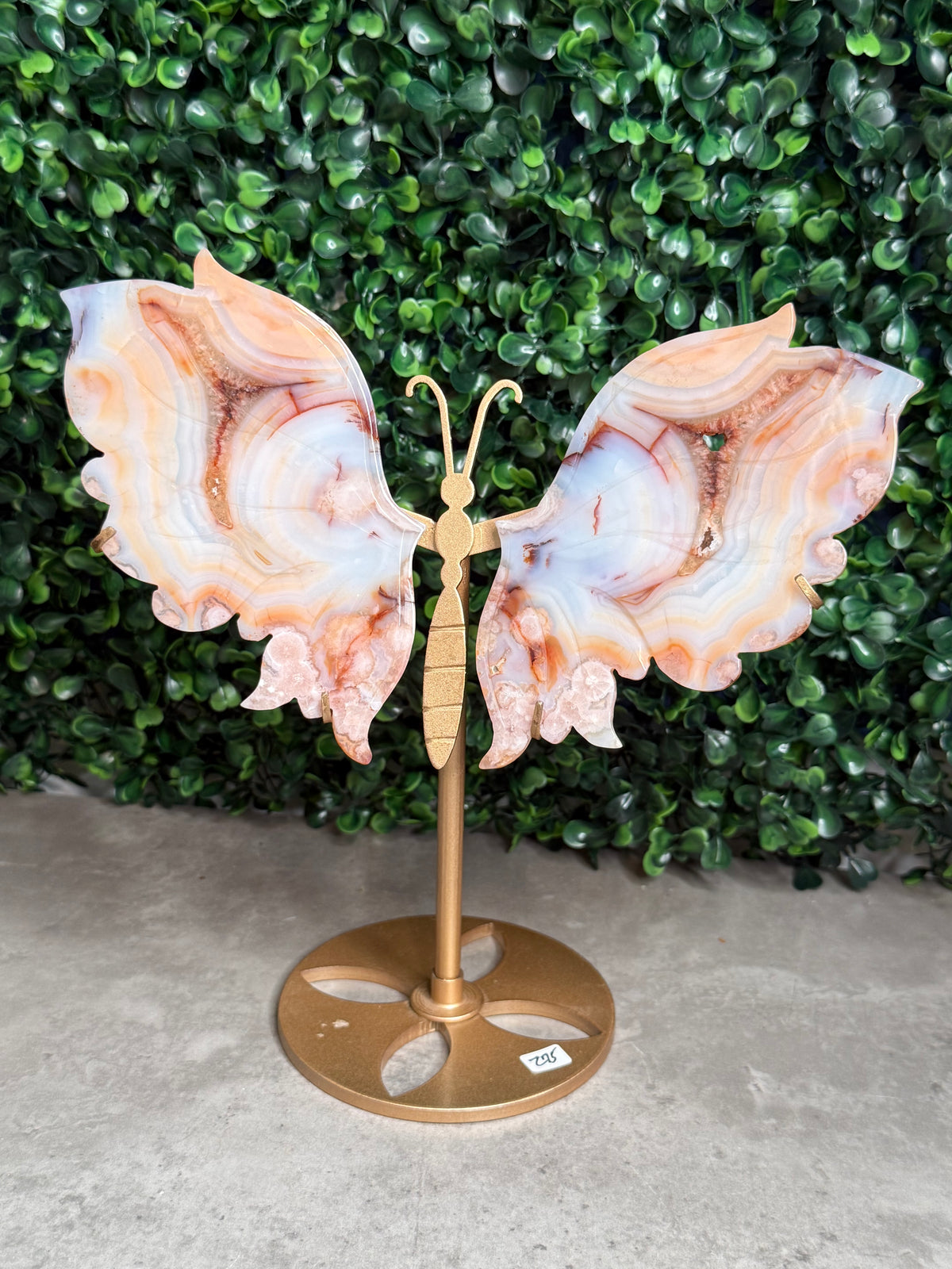 Carnelian Flower Agate Butterfly Wings Crystal Carvings - Medium Size - Z