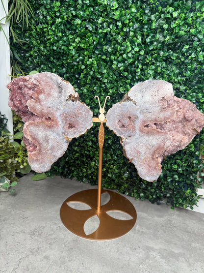 3.5kg XL Pink Amethyst Geode Butterfly Winds Crystal Carving - Brazil