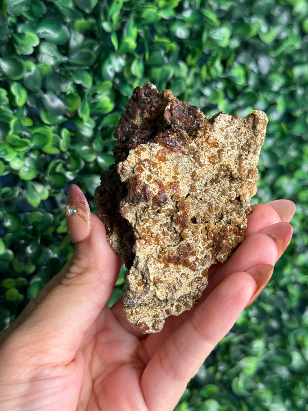 Andradite garnet from Nusa Tenggara Timur - Indonesia - F