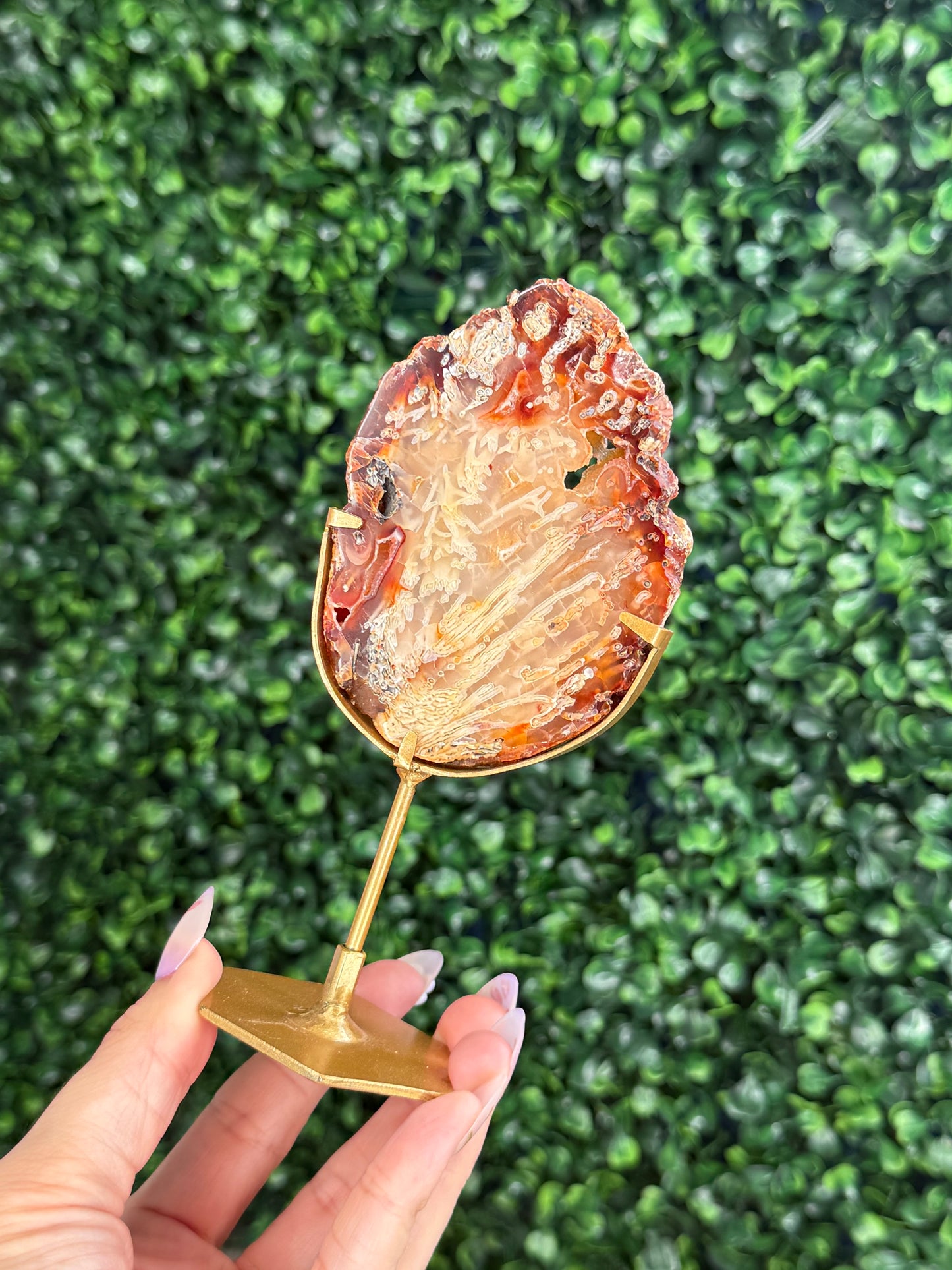 Indonesian Plume Agate slab with gold stand