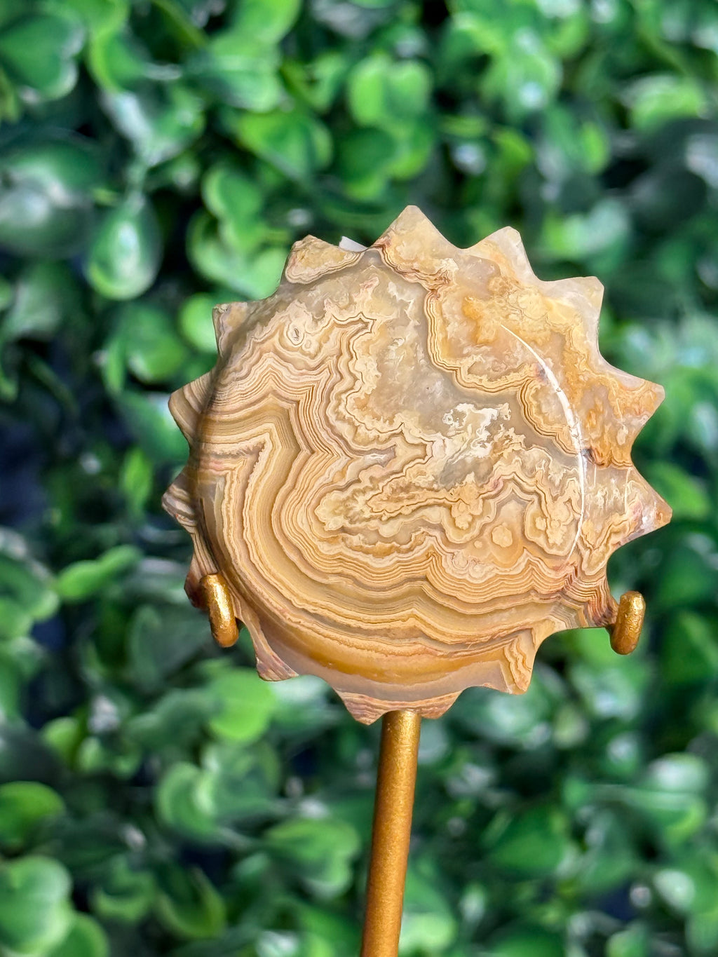 Yellow Crazy Lace Agate Mini Sun X from Indonesia