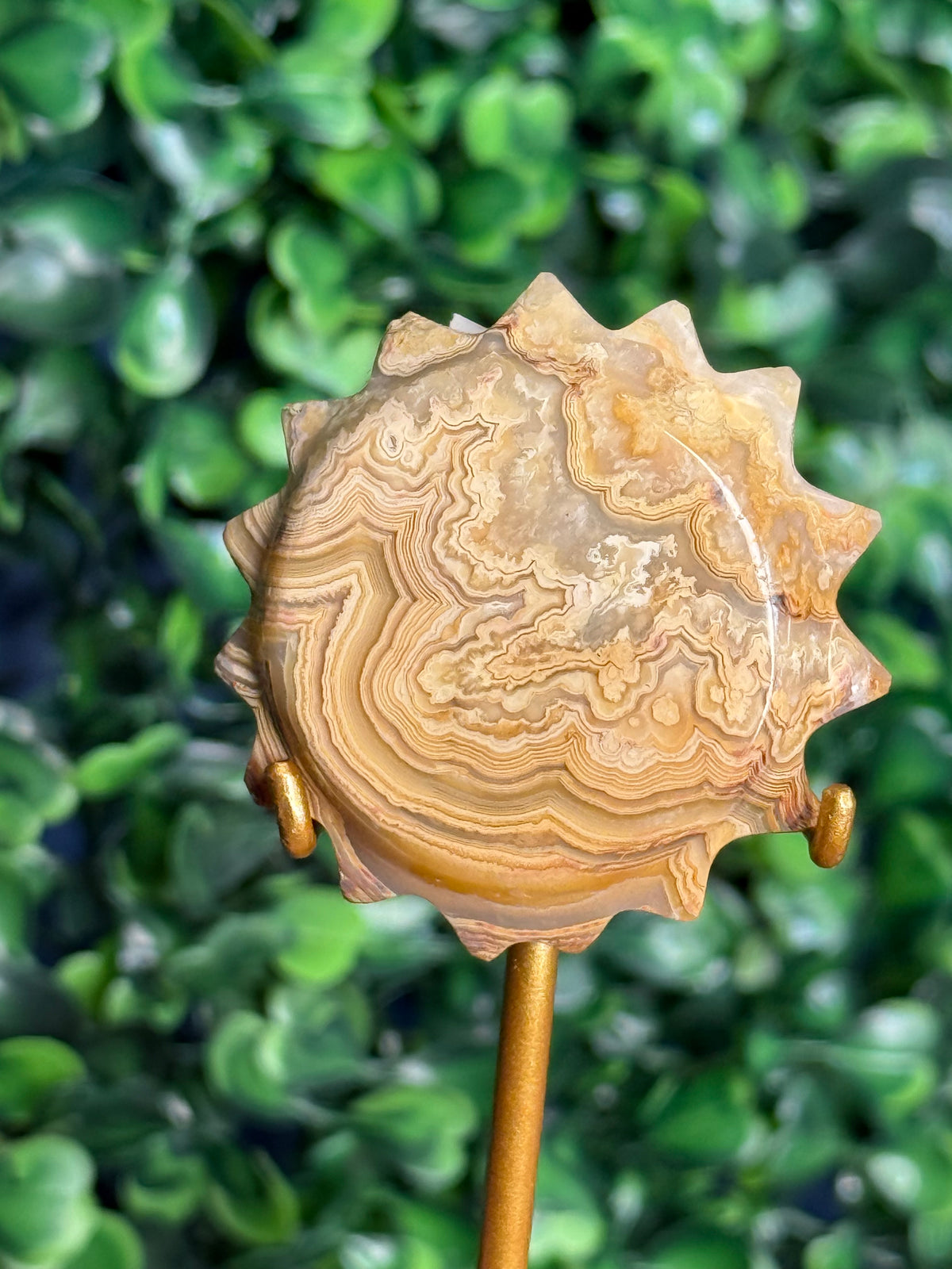 Yellow Crazy Lace Agate Mini Sun X from Indonesia