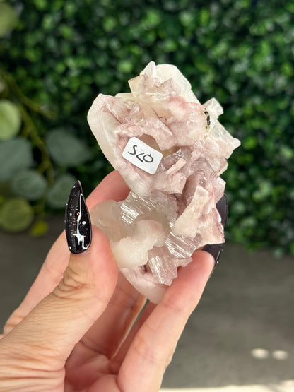 Pink & Green Apophyllite Specimens - S