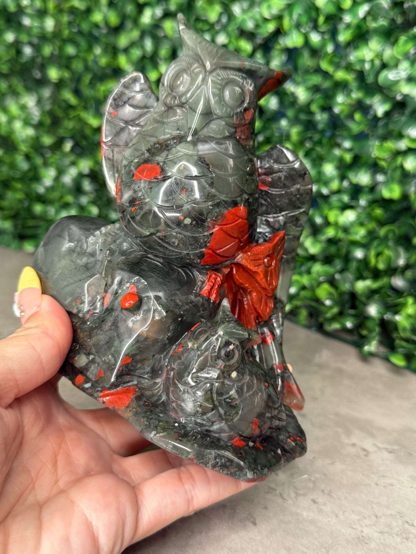 African Bloodstone Large Owl Crystal Carvings 744g