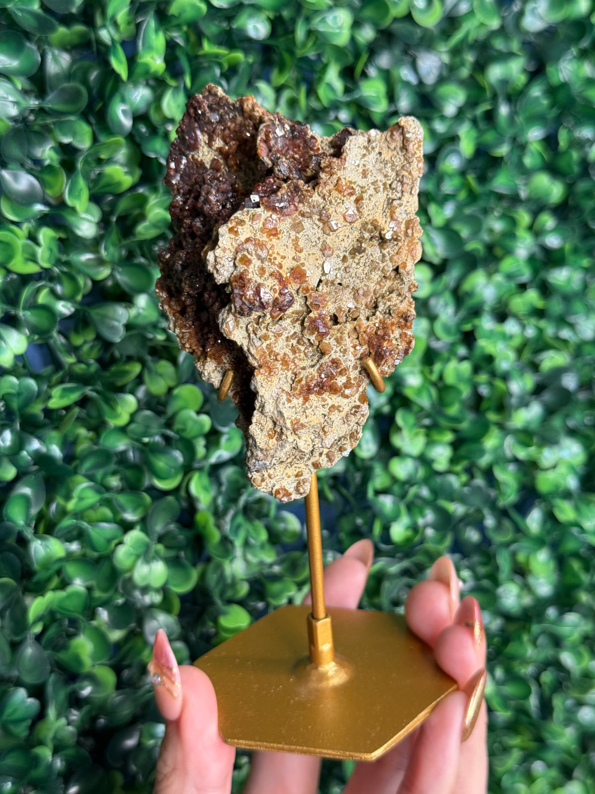 Andradite garnet from Nusa Tenggara Timur - Indonesia - F