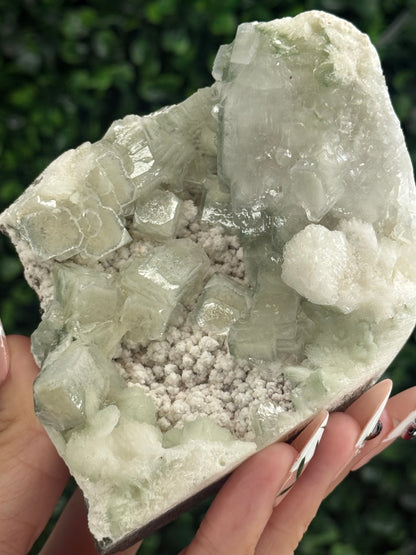 Green Apophyllite with Mordenite Crystal Specimen from India 400g