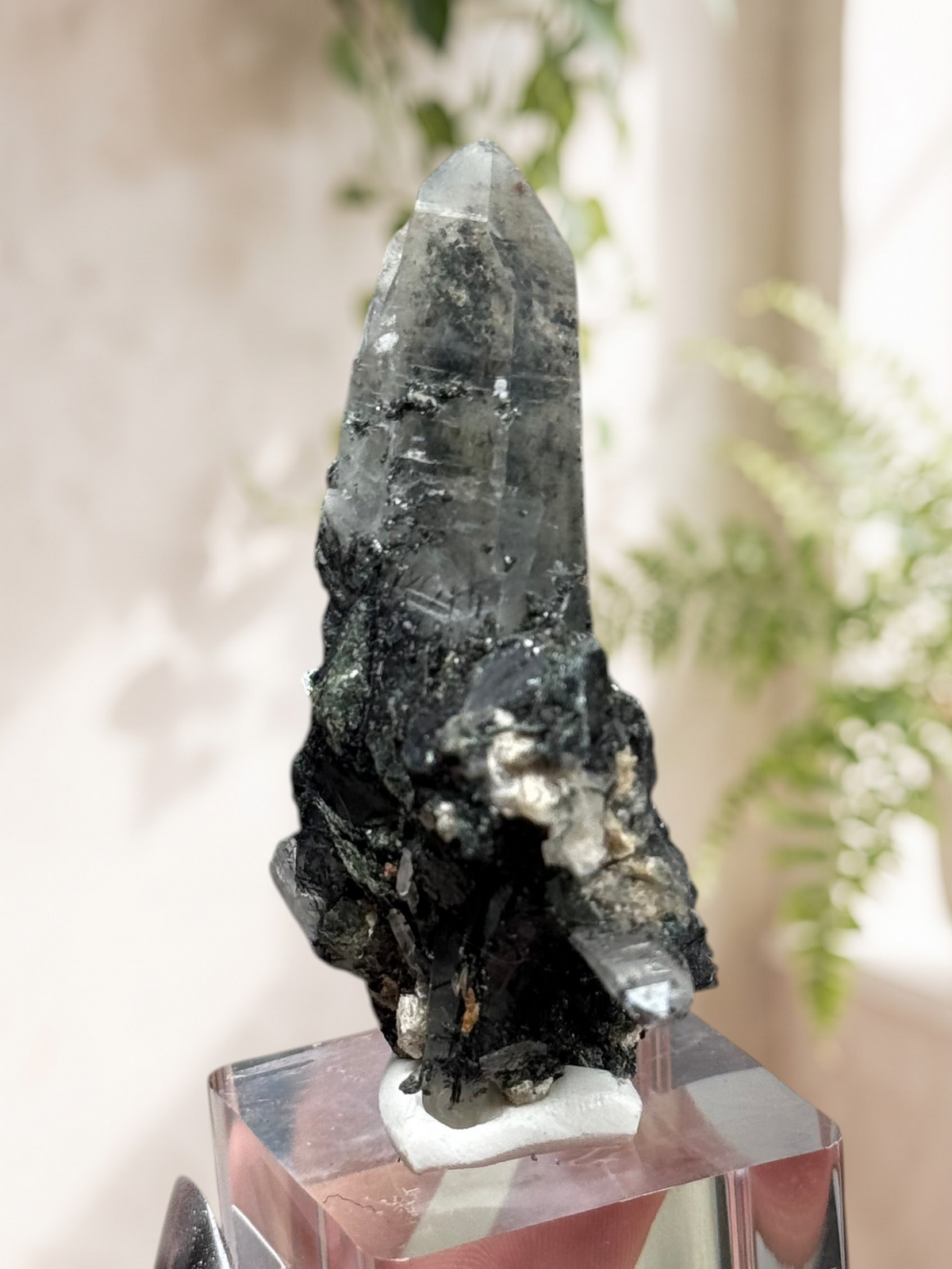 Crystal Glade laser quartz specimen from Pakistan with a long, tapering clear point and dark, textured base.
