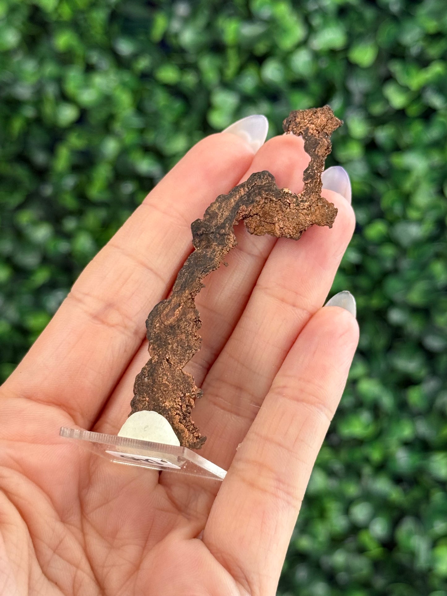 Native Copper Collection mined in the 70s Pearl Handle Pit Ray Mine AZ, US - D