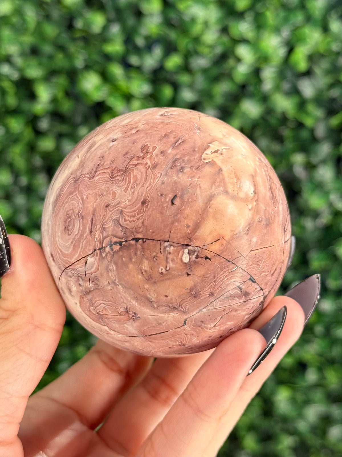 Pink Picture Jasper Spheres E