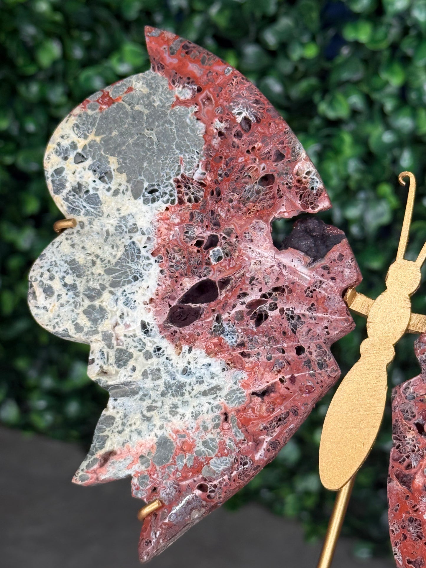 Red Marcasite Butterfly Wings