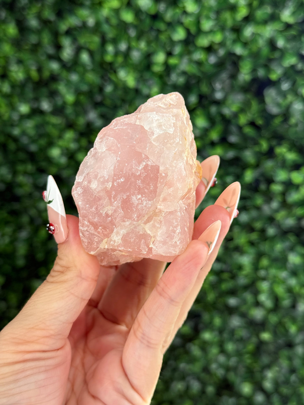 Raw Rose Quartz Crystal From Colorado USA J