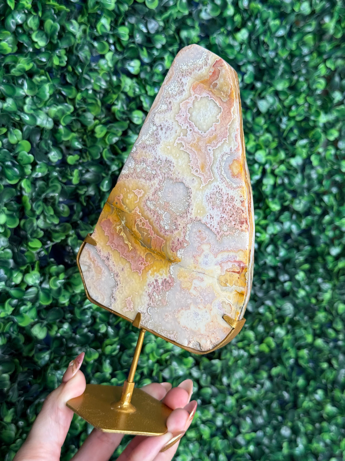 Colourful Crazy Lace Agate Slab from Indonesia C