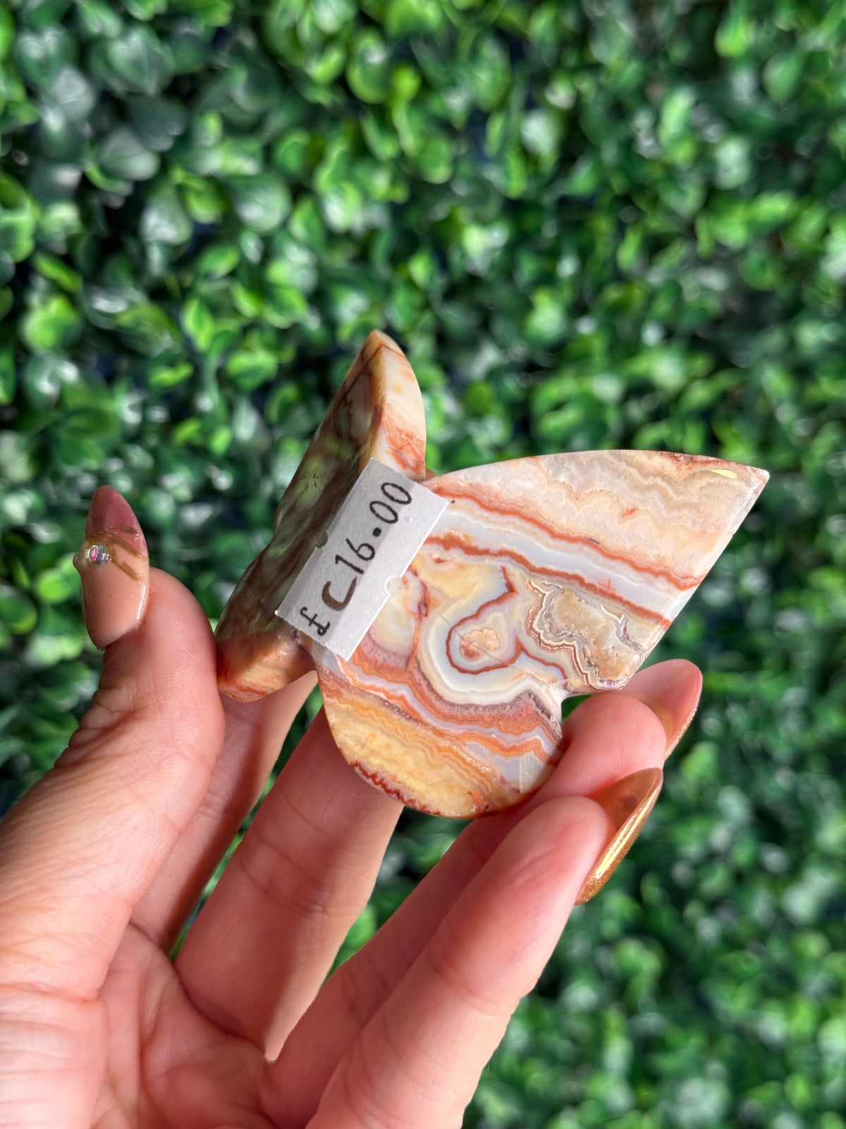 Crazy Lace Agate 3D Butterfly Crystal Carving from Indonesia C