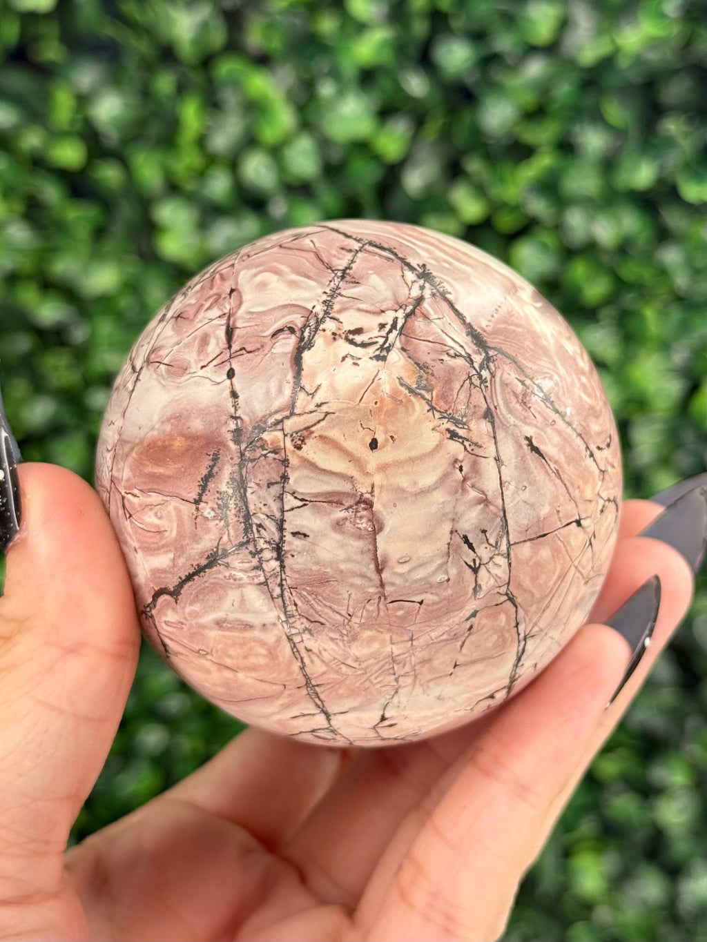 Pink Picture Jasper Spheres C