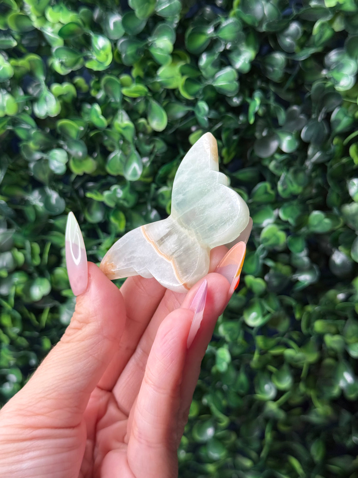 Green Caribbean Calcite Mini Butterfly Crystal Carvings - Pakistan