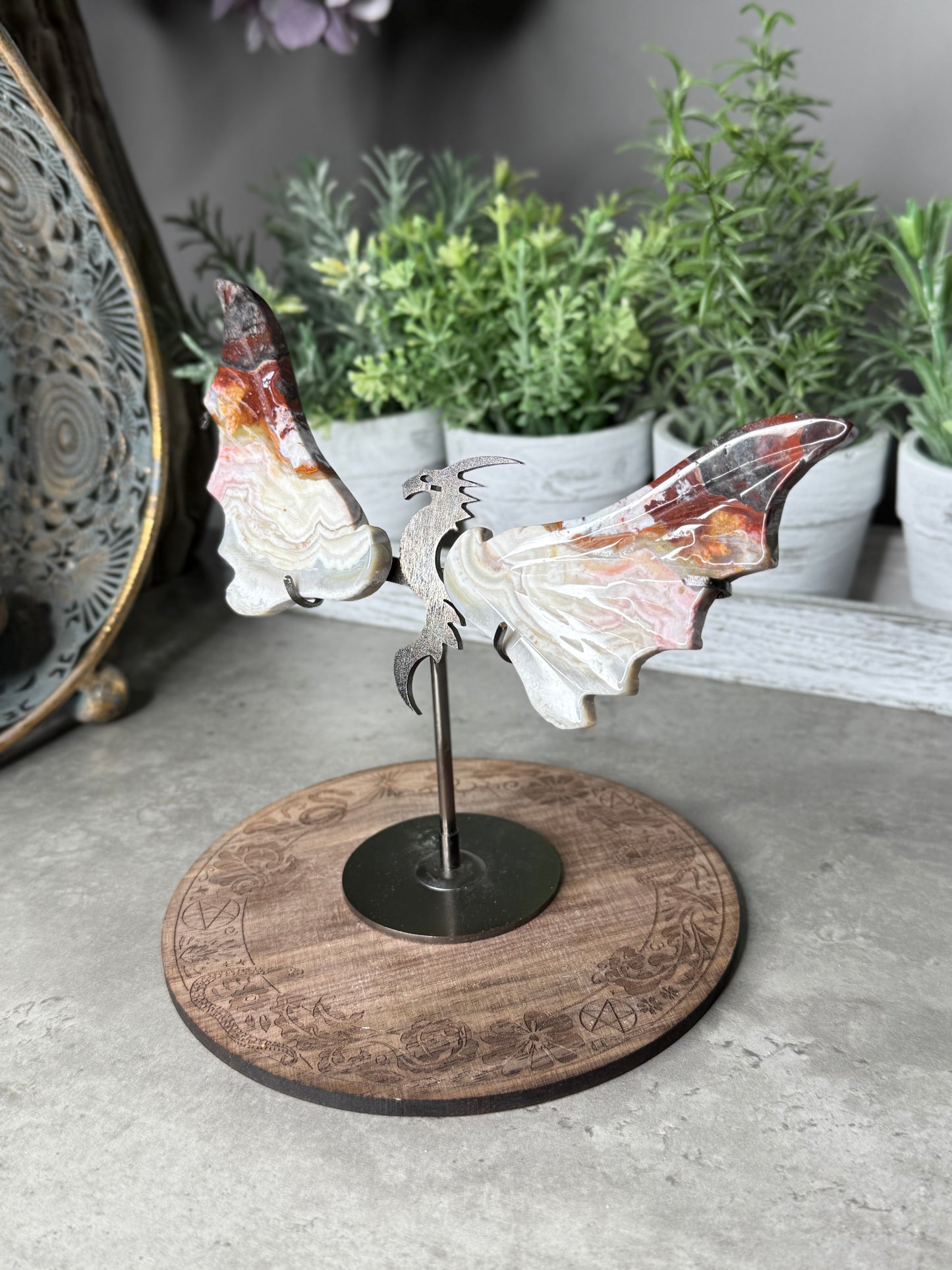 Mexican Lace Agate Dragon Wings