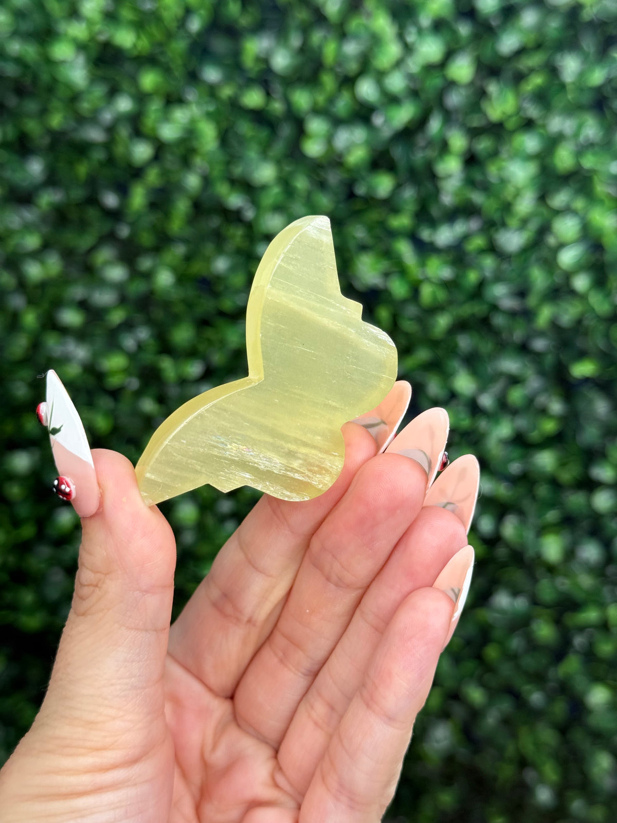 Lemon Calcite Mini Butterfly Crystal Carvings from Pakistan