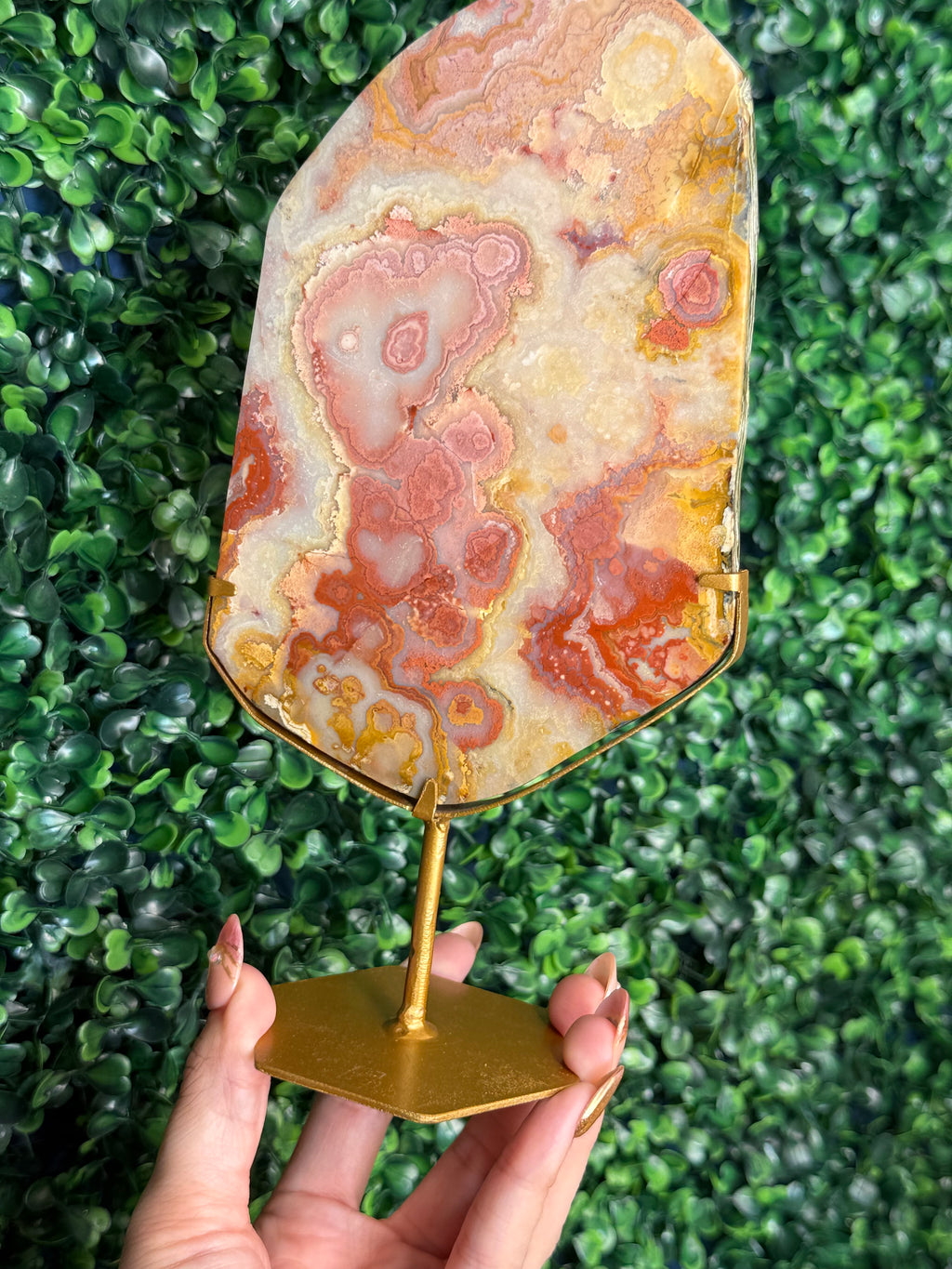 Colourful Crazy Lace Agate Slab from Indonesia F