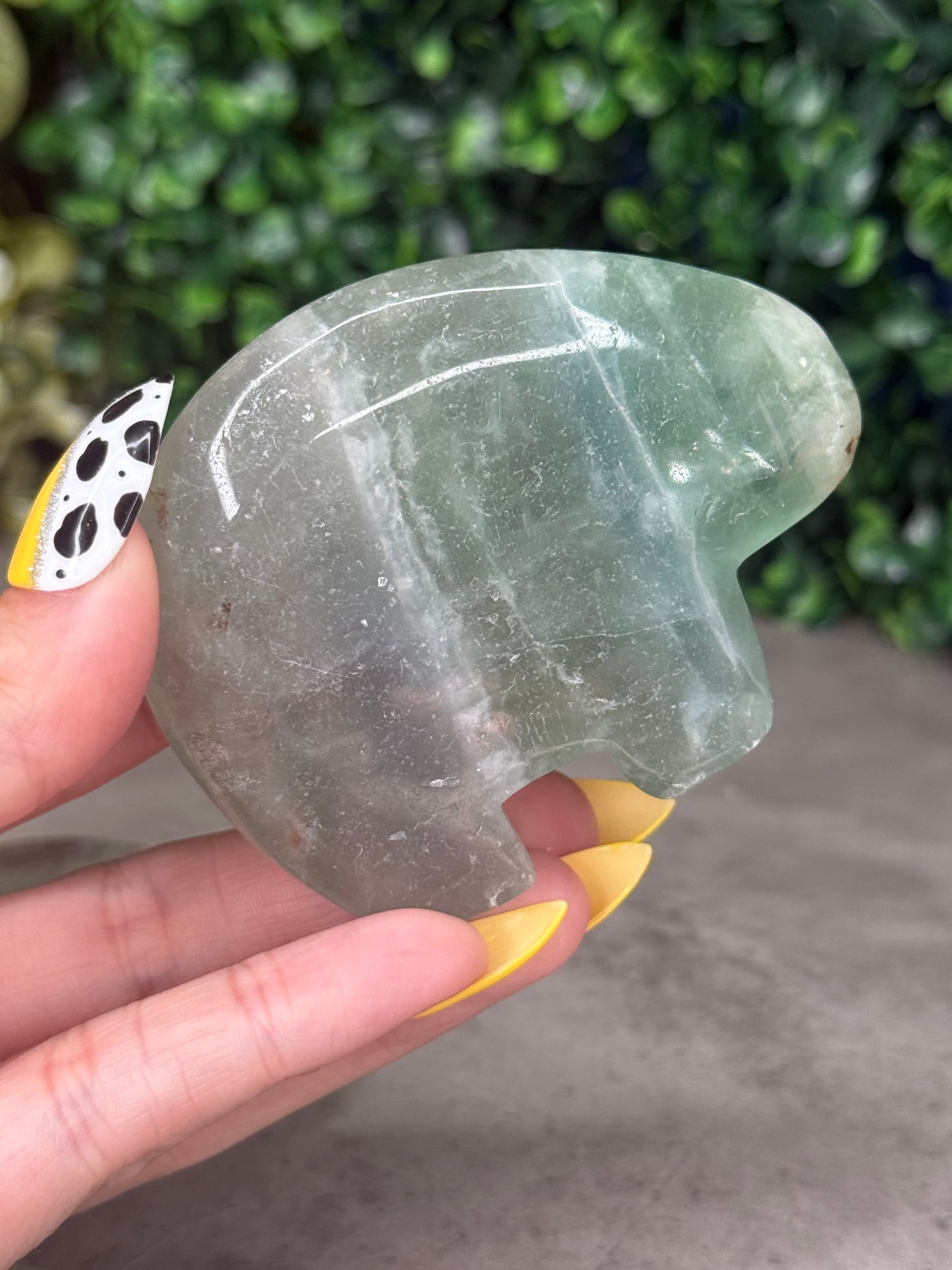 Fluorite Bear Crystal Carvings
