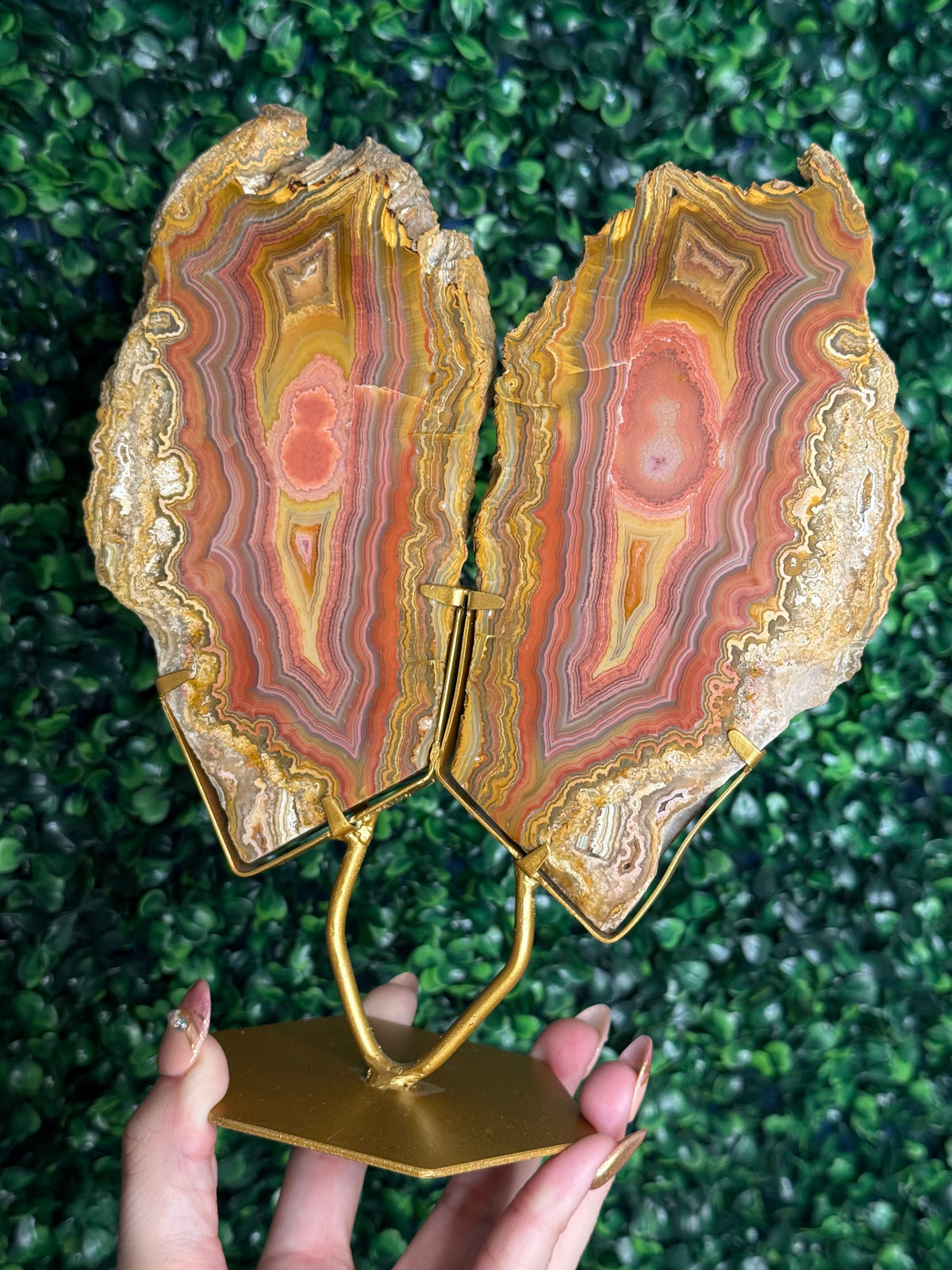 Colourful Crazy Lace Agate Slab Pair from Indonesia - X