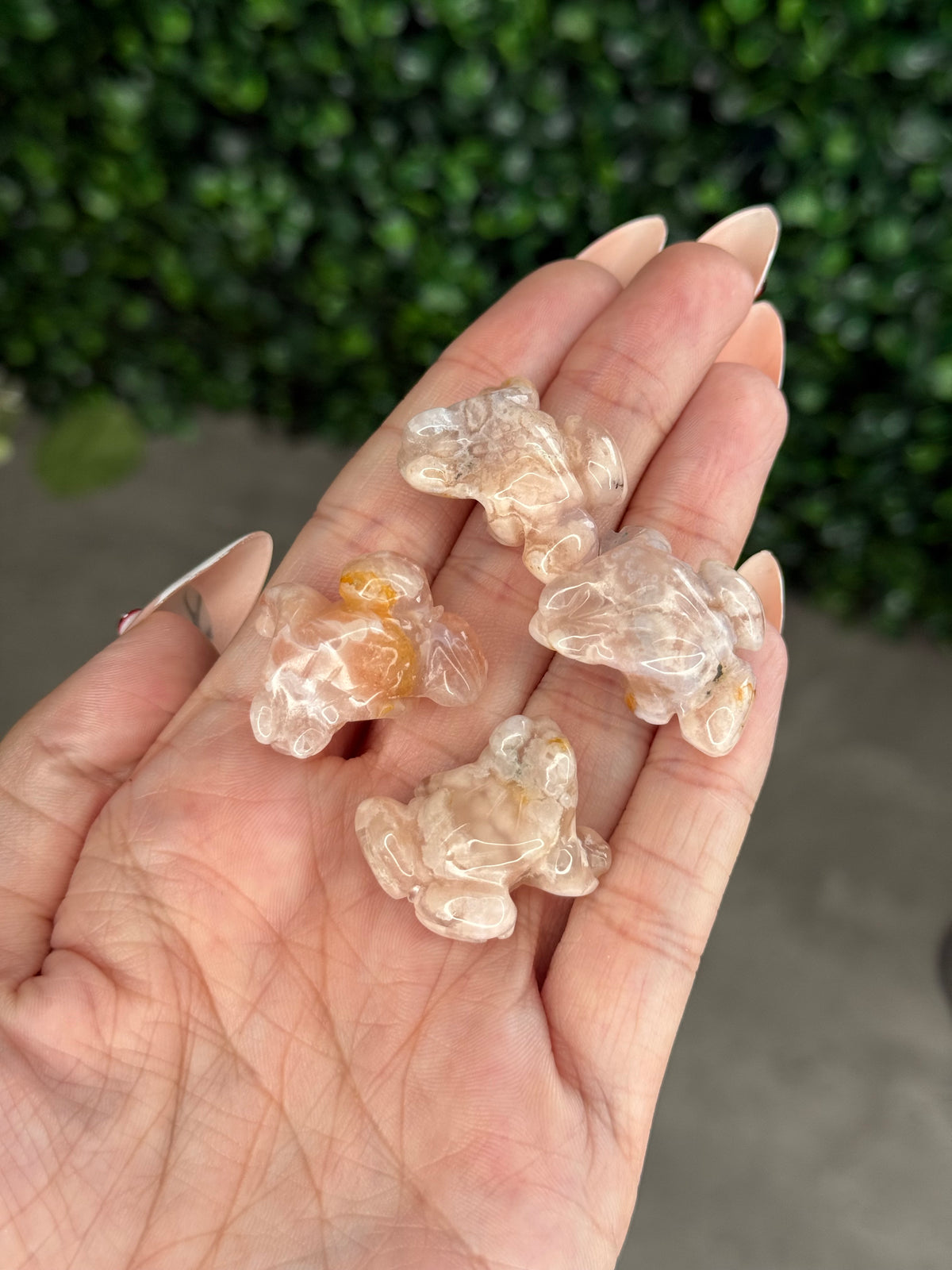 Flower Agate Mini Frog Crystal Carvings