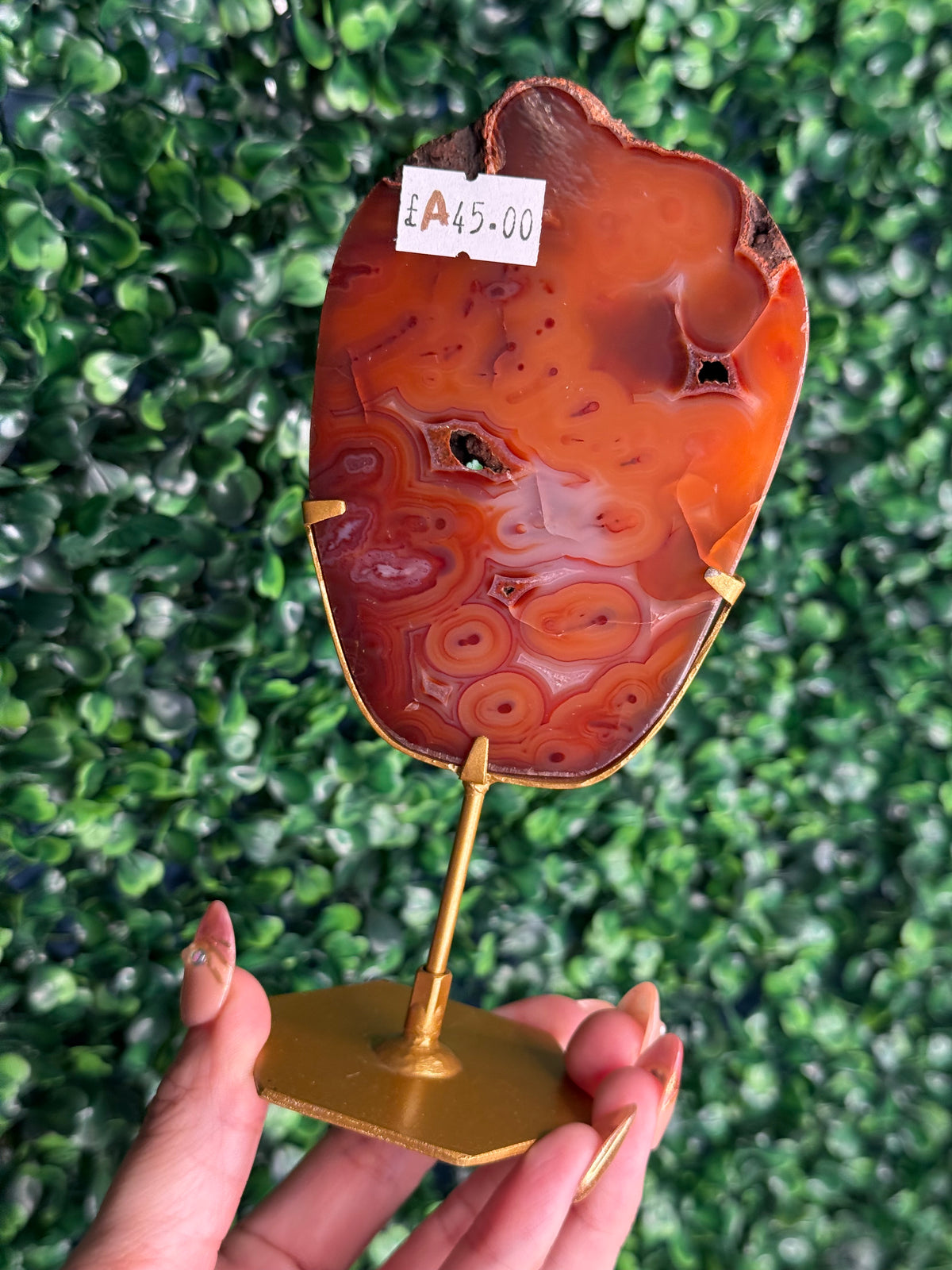 Red Carnelian Slab A from Indonesia with gold stand