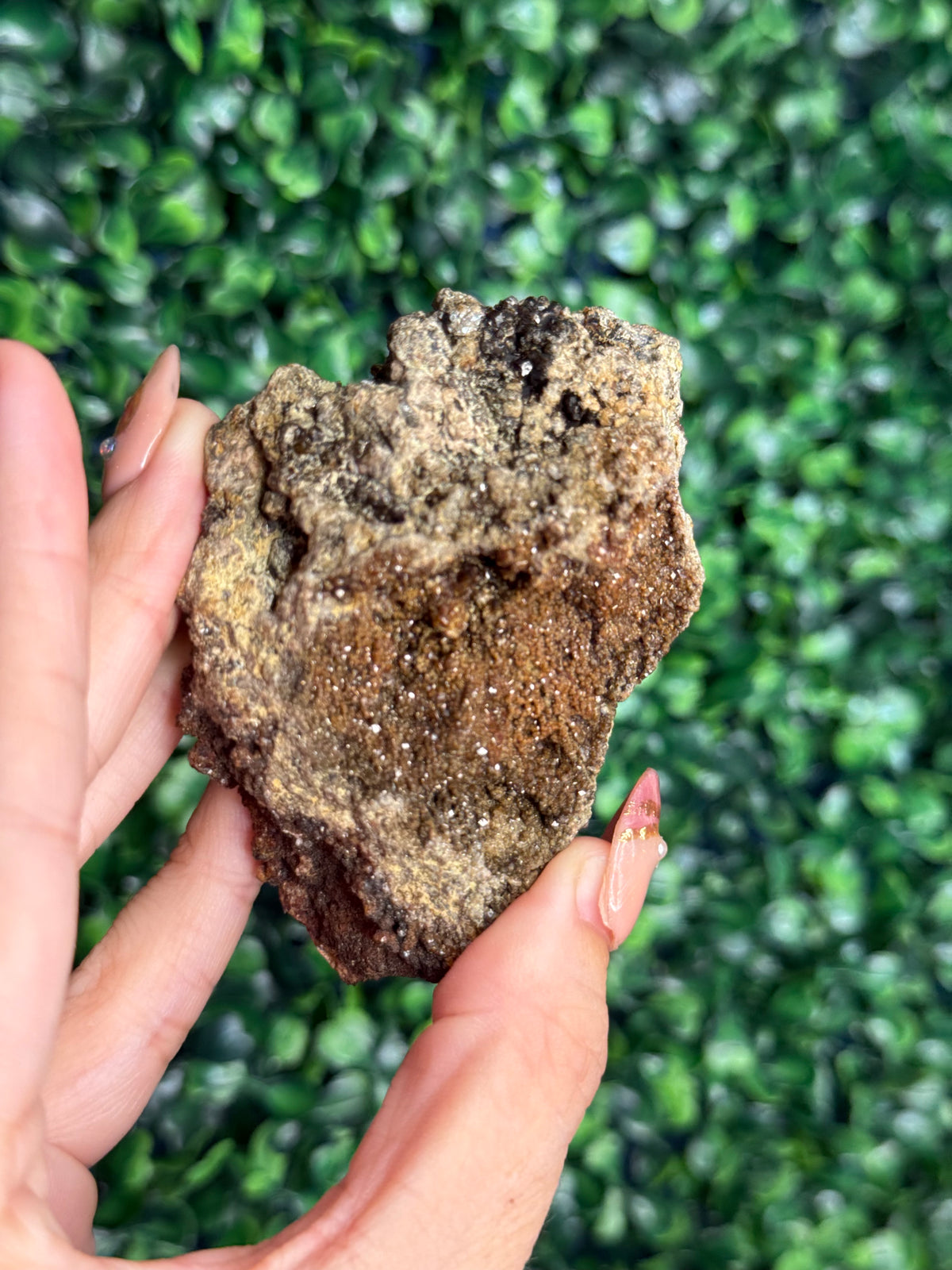 Andradite garnet from Nusa Tenggara Timur - Indonesia - G