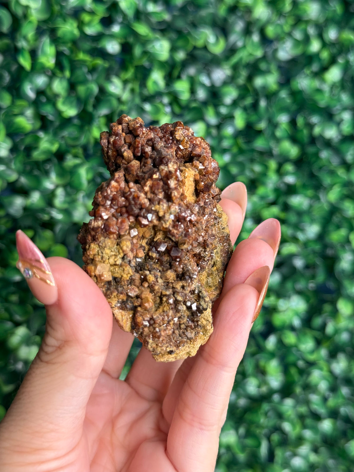 Andradite garnet from Nusa Tenggara Timur - Indonesia - C