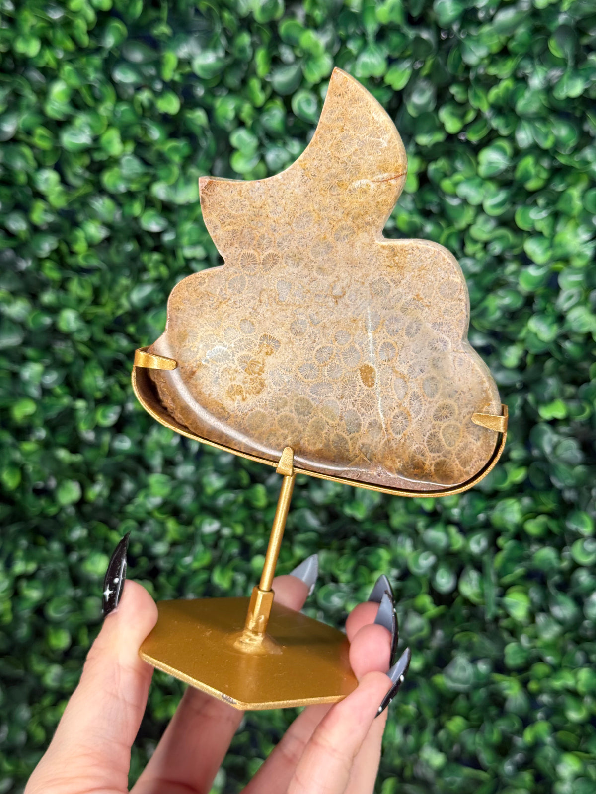 Fossil Coral Cloud & Moon Crystal Carving - A