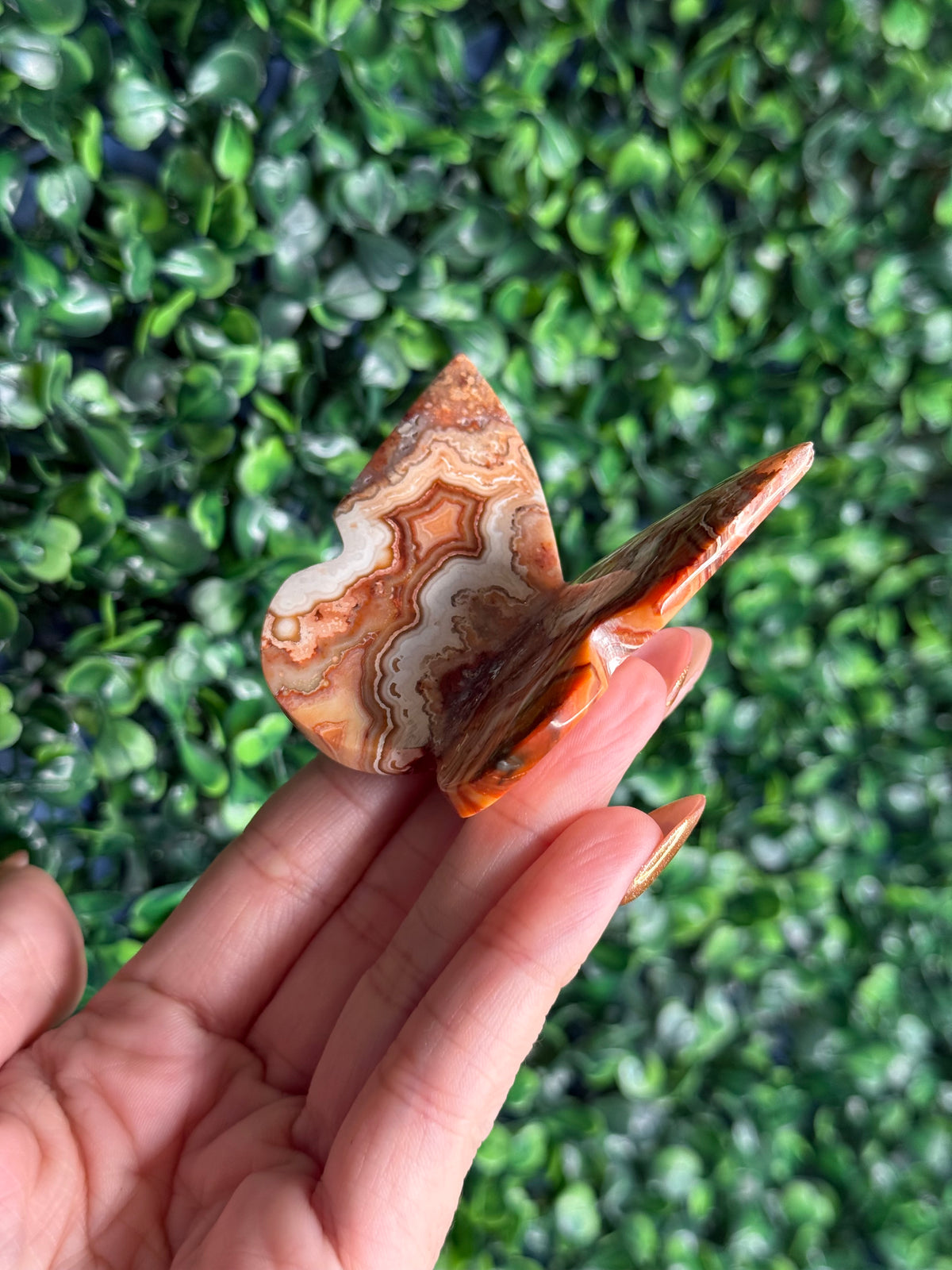 Crazy Lace Agate 3D Butterfly Crystal Carving from Indonesia B