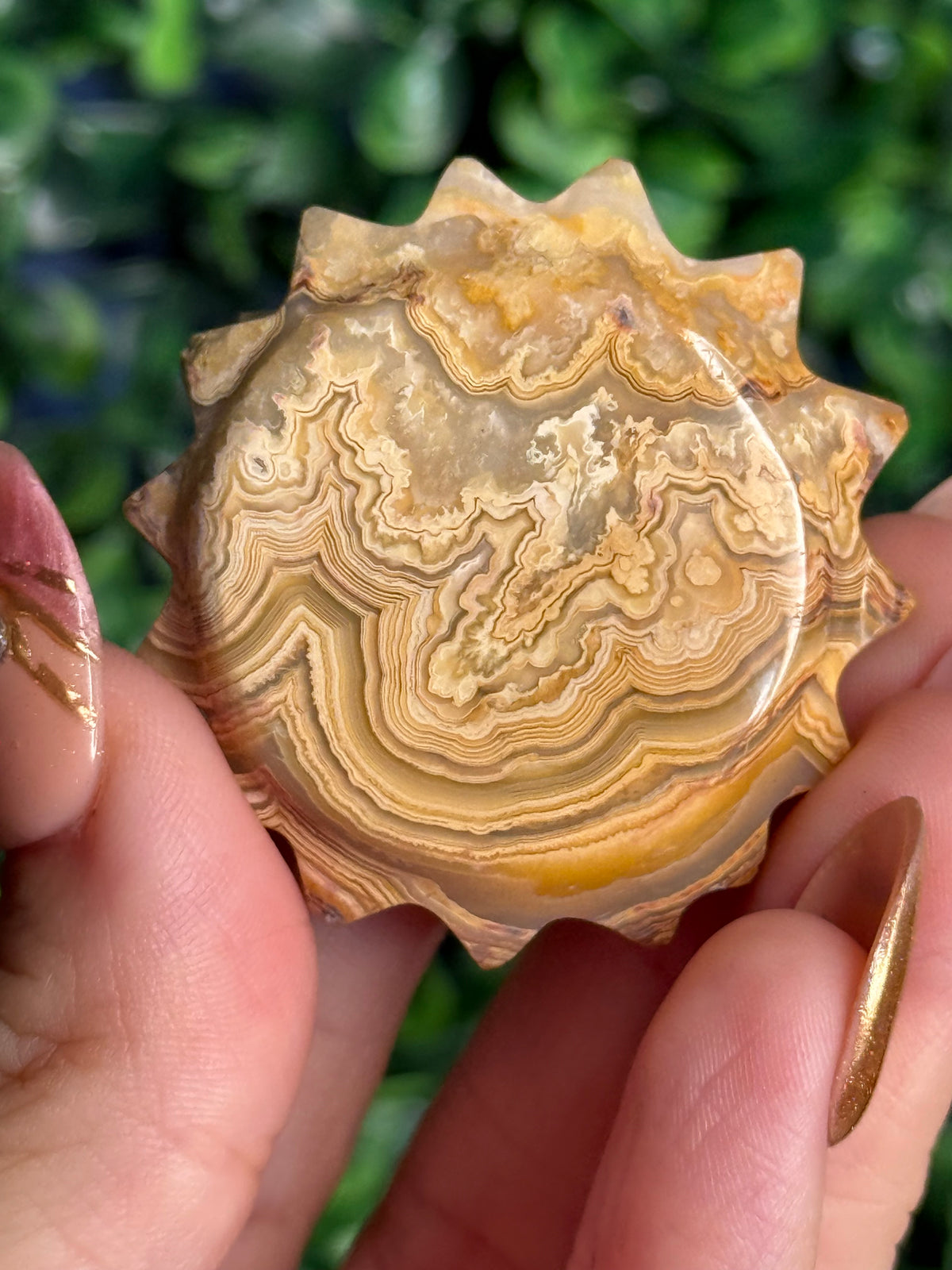 Yellow Crazy Lace Agate Mini Sun X from Indonesia