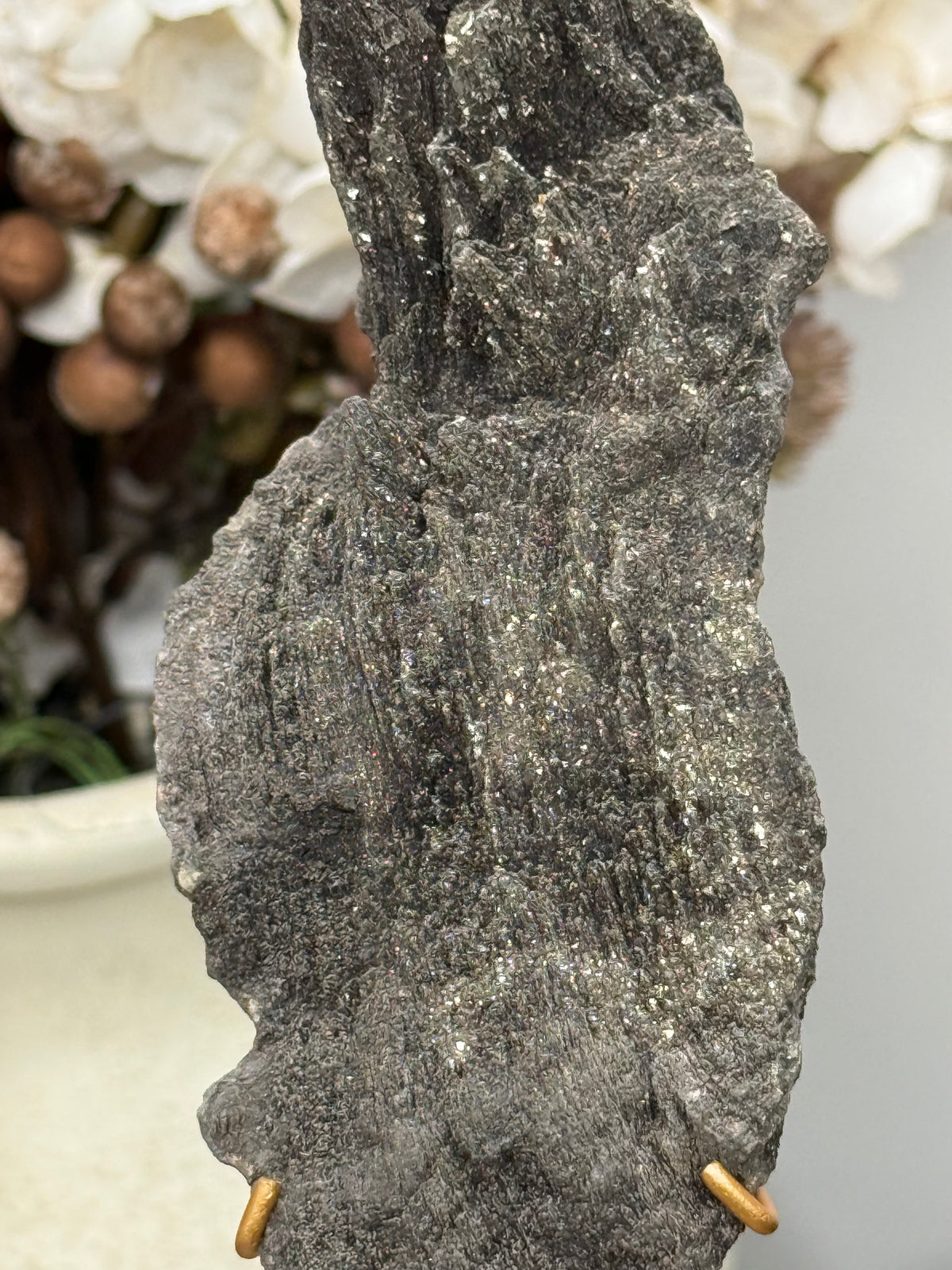 Pyritized Petrified Wood from Indonesia - B