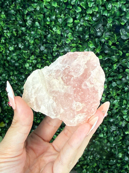 Raw Rose Quartz Crystal From Colorado USA F