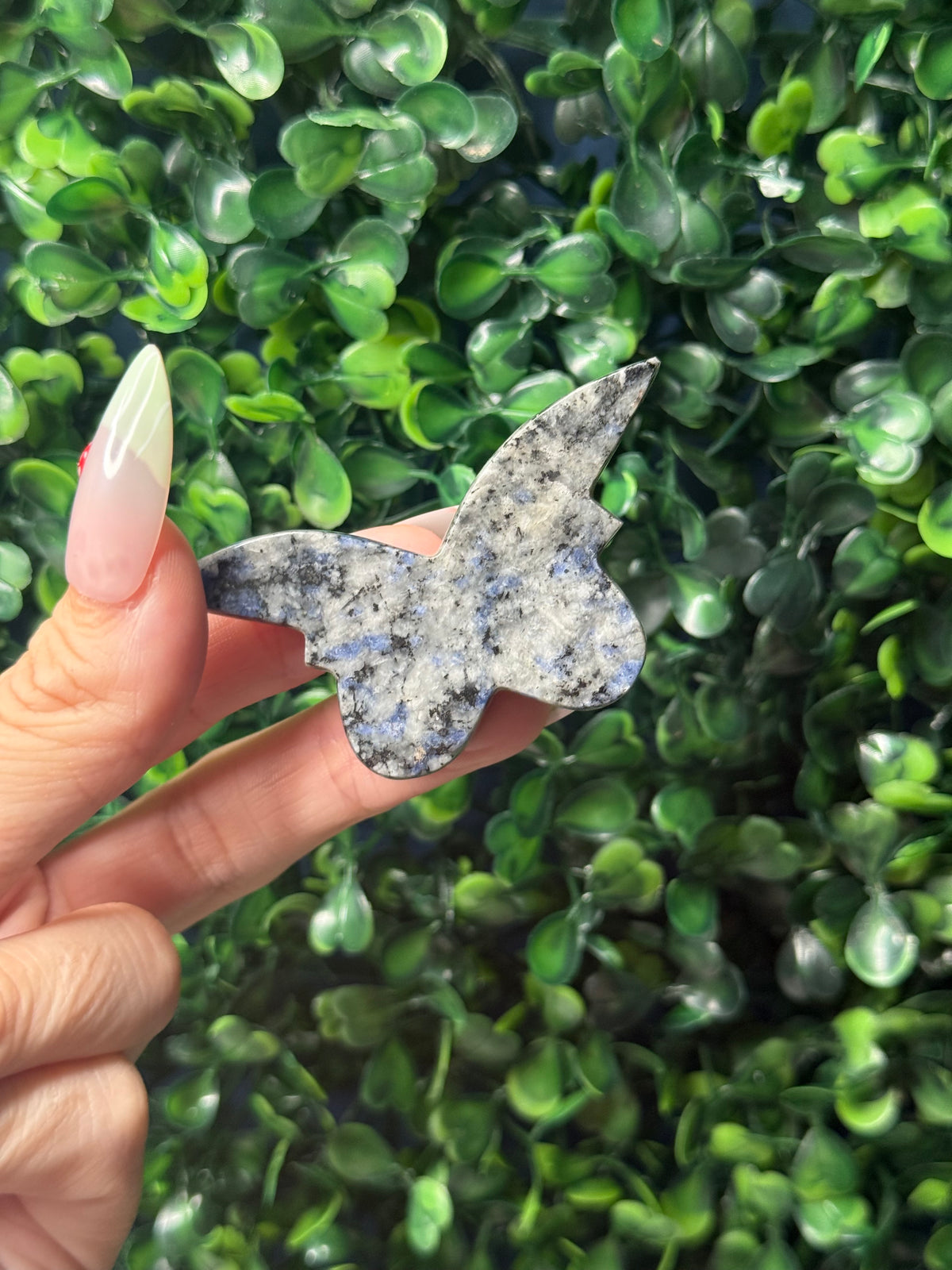 Sodalite Mini Butterfly Crystal Carvings - Pakistan