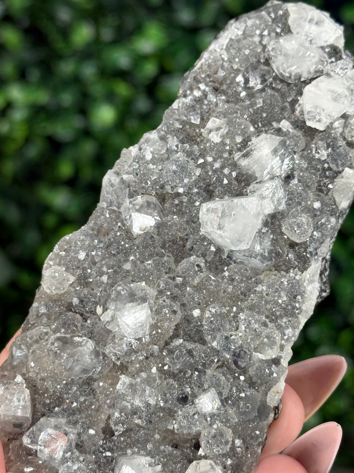 Black Chalcedony with Apophyllite M
