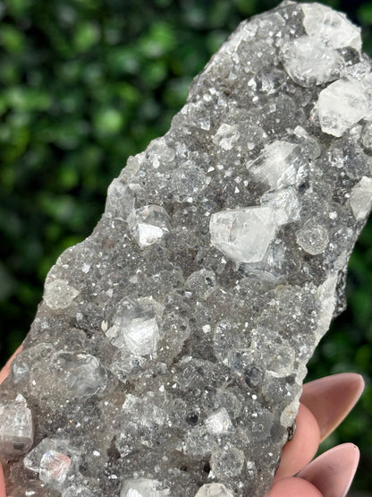 Black Chalcedony with Apophyllite M