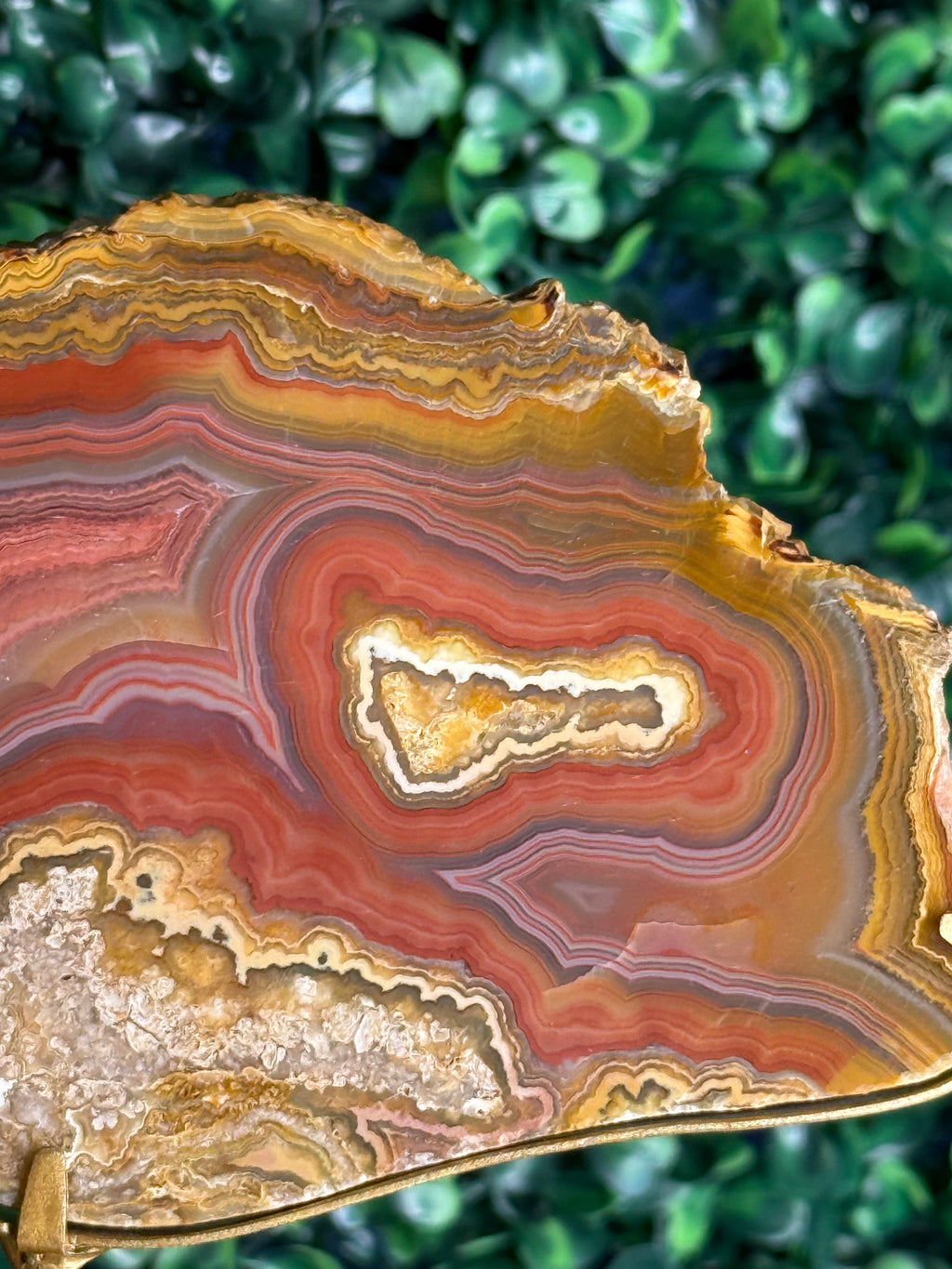 Colourful Crazy Lace Agate Slab from Indonesia - N