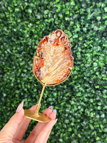 Indonesian Plume Agate slab with gold stand