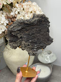 Pyritized Petrified Wood from Indonesia - A
