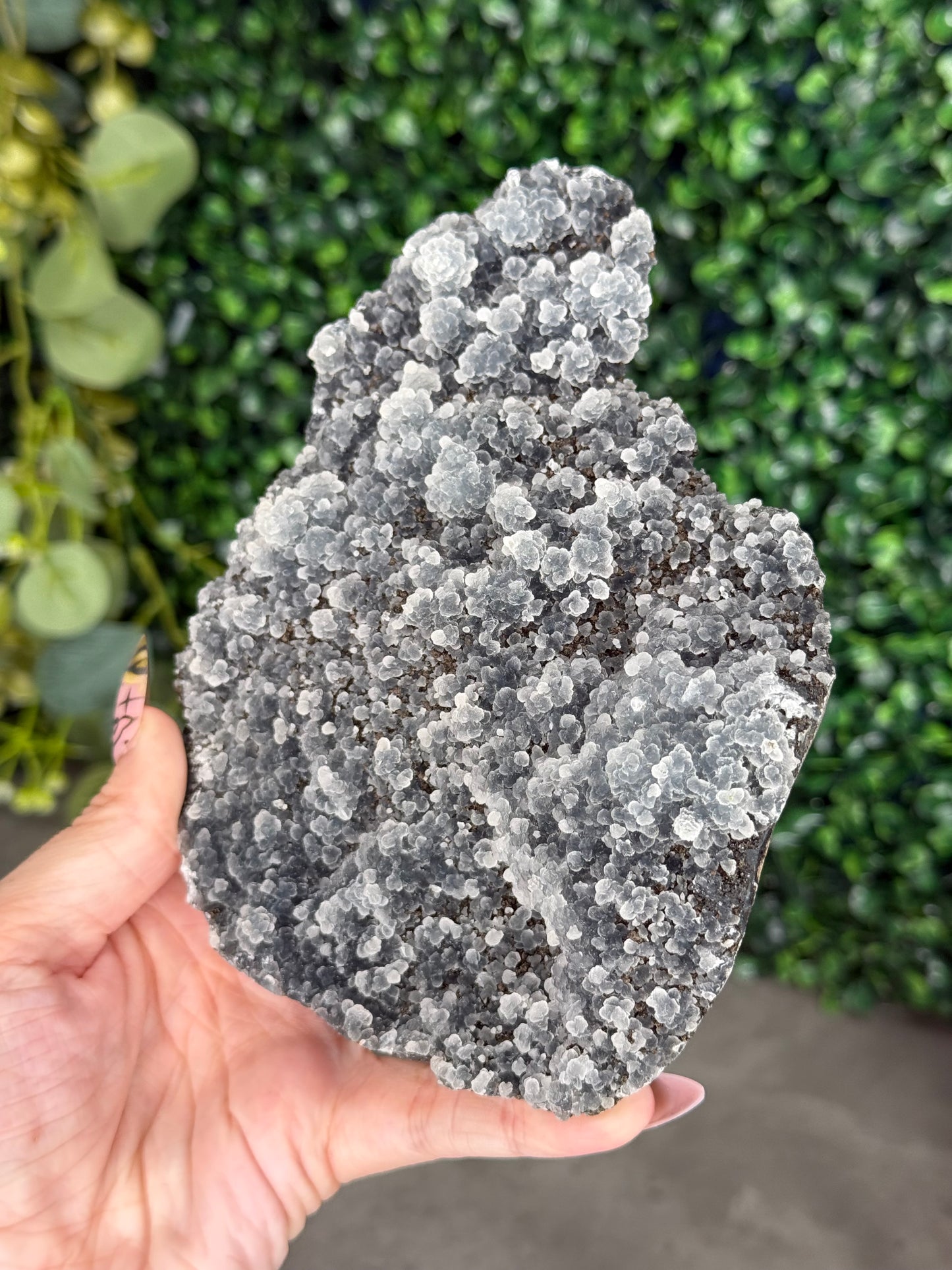 Black Chalcedony Crystal Specimen P