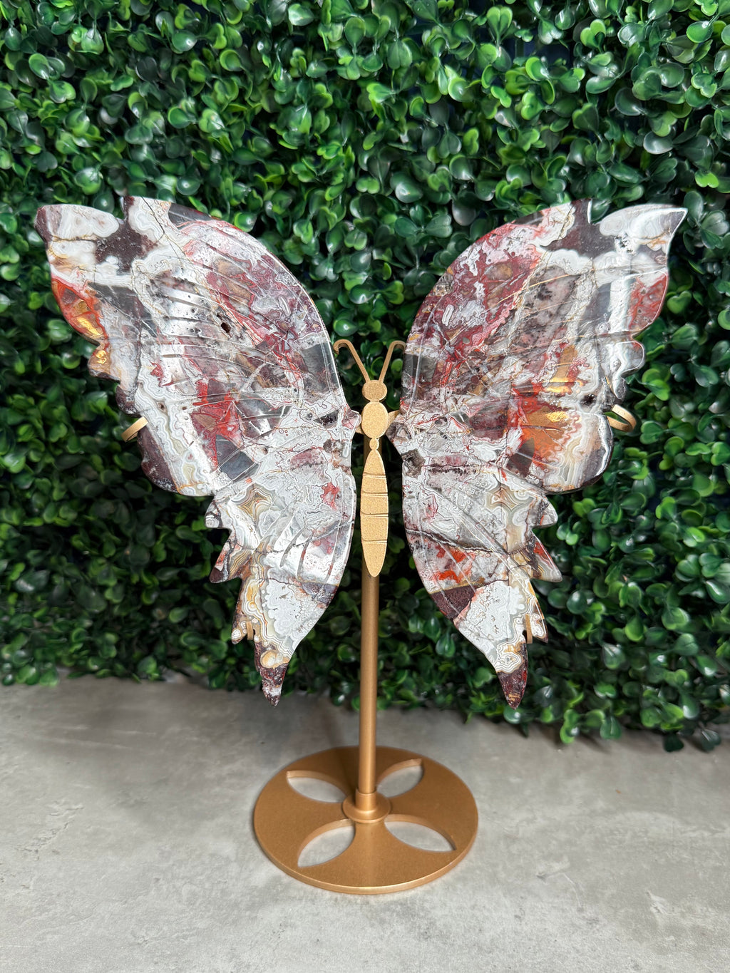 Mexican Lace Agate XL Butterfly Wings Crystal Carvings