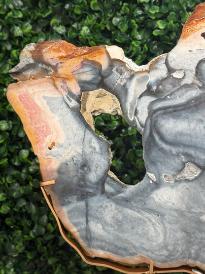 XL Pink & Blue Petrified Wood Slab With Custom Stand