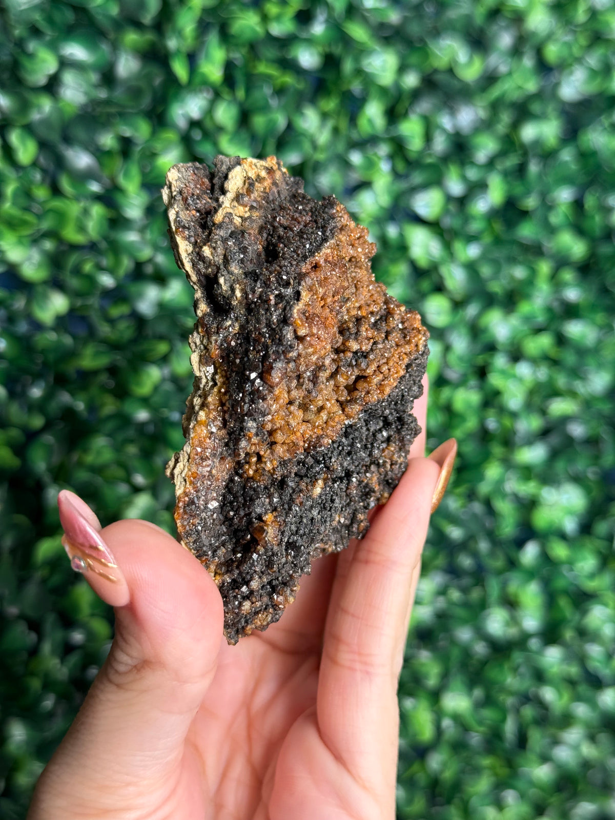 Andradite garnet from Nusa Tenggara Timur - Indonesia - H