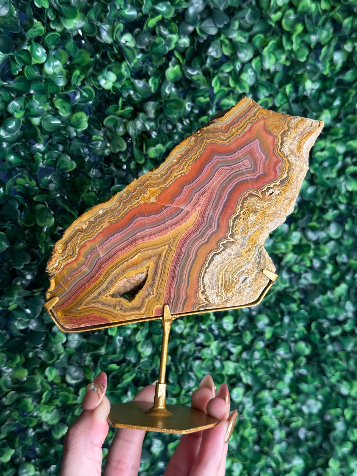 Colourful Crazy Lace Agate Slab from Indonesia - E