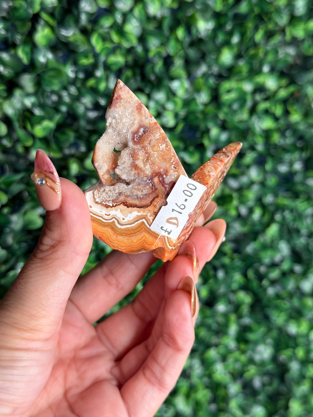 Crazy Lace Agate 3D Butterfly Crystal Carving from Indonesia D