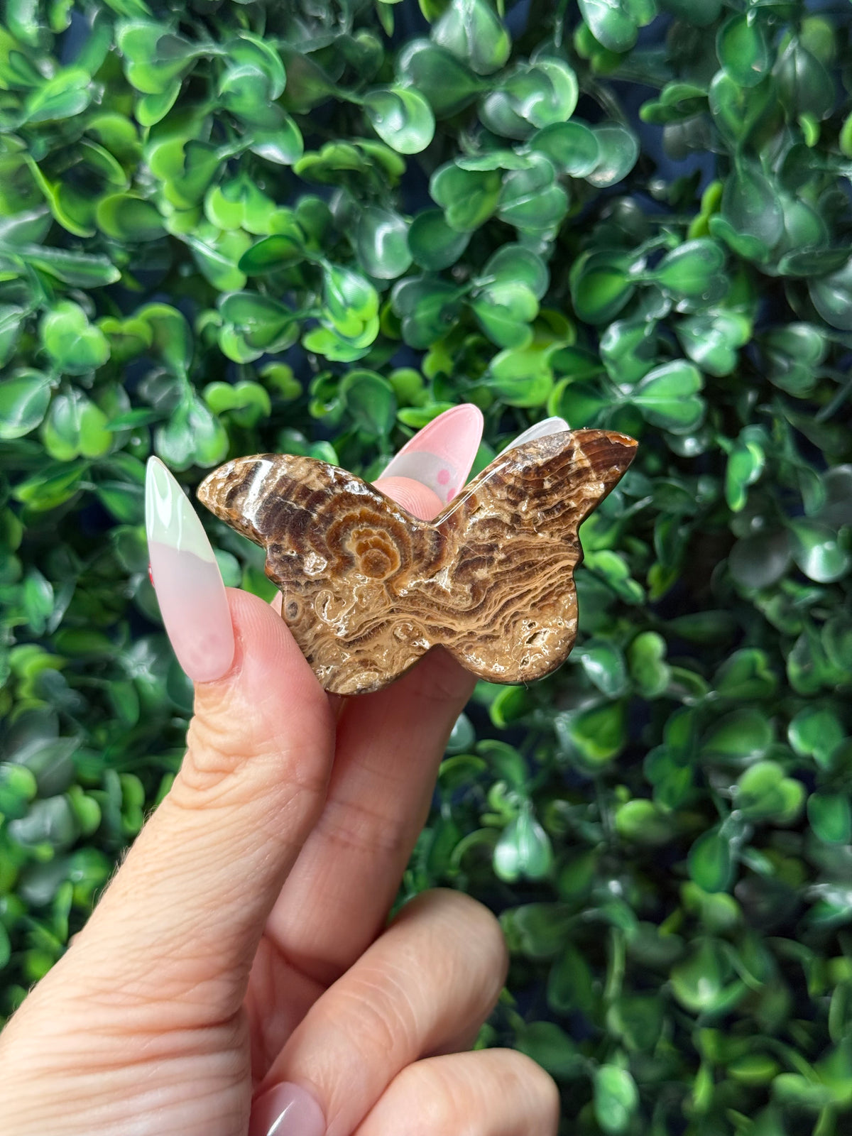 Chocolate Calcite Mini Butterfly Crystal Carvings - Pakistan