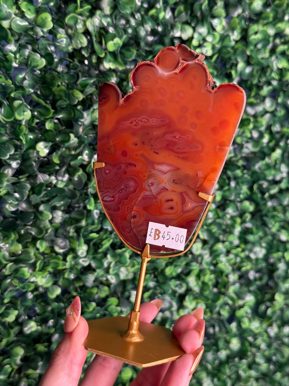 Red Carnelian Slab B from Indonesia with gold stand